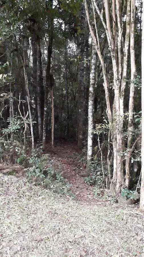 Sitio Agua Santa Villa Itapeva  0*, Itapeva (Minas Gerais) Brazil